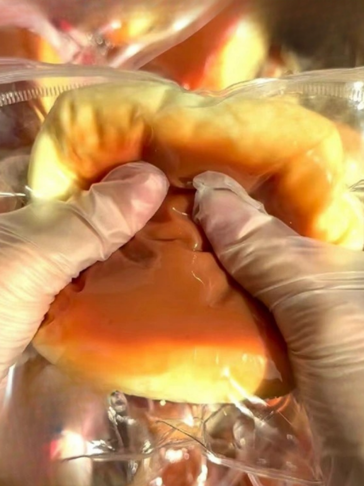 Hawaiian Bread Squishy