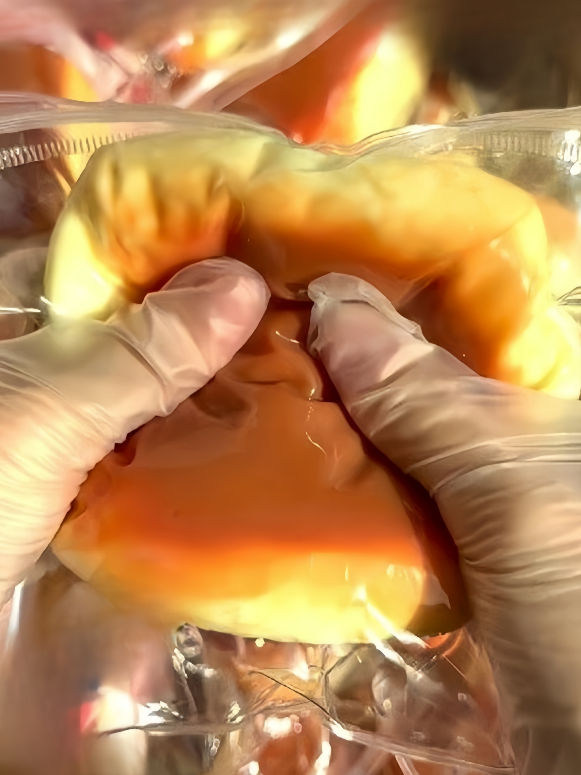 Hawaiian Bread Squishy